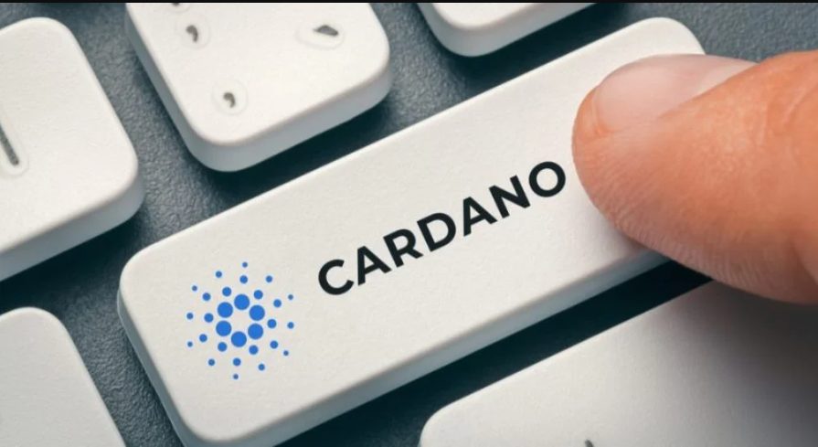 Kolik mincí Cardano ada kryptoměna existuje?
