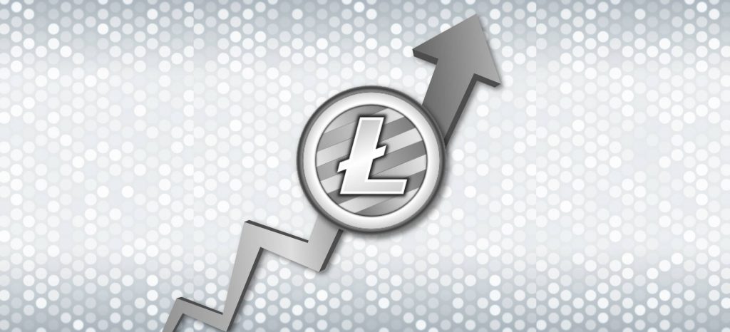 Vyplatí se koupit peněženku lite coin