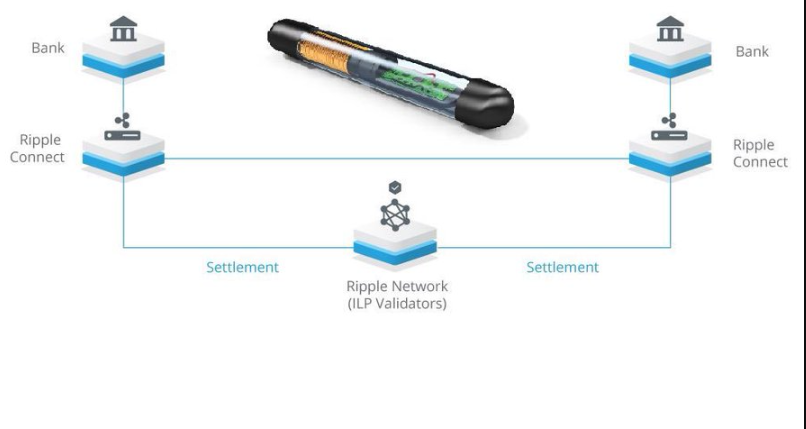 Jaký je rozdíl mezi XRP a Ripplem ripple cryptocompare.