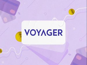 Voyager klady a zápory