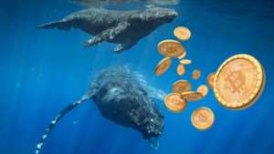 Bitcoin Whales' $3B Stash Surge odhalen v lednových údajích