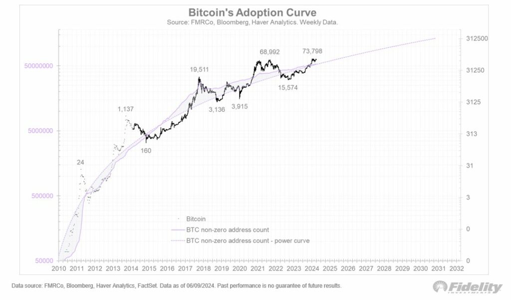 Křivka přijetí bitcoinu
