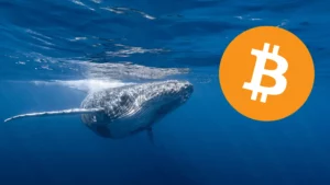 Prastará bitcoinová velryba se po 12 letech přesouvá na 60 milionů dolarů!