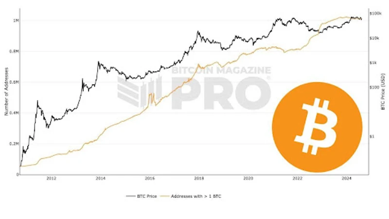 Graf znázorňující počet adres Bitcoinu, které drží 1 BTC
