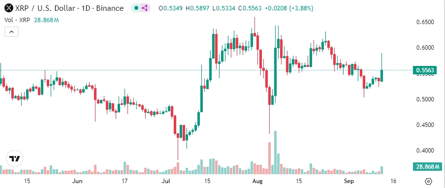 XRP o 8 %
