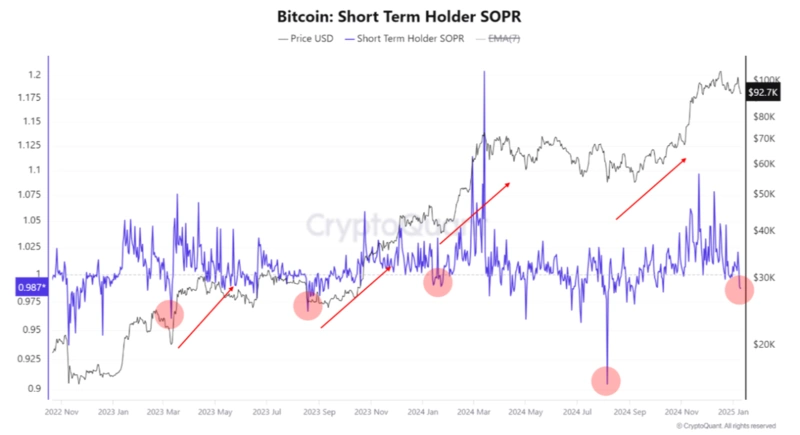 Krátkodobý graf držitele bitcoinu SOPR s trendy
